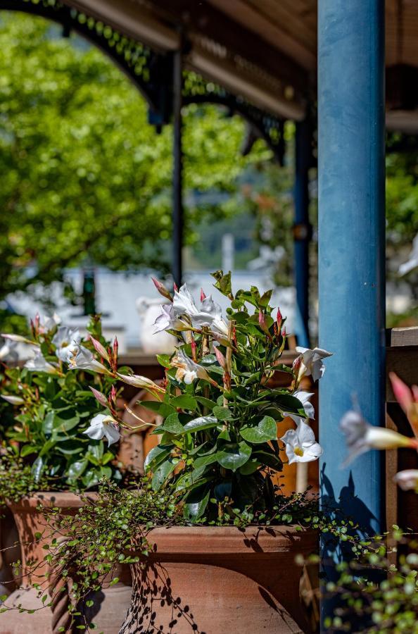 Hotel Ertl & Restaurant El Venado Spittal an der Drau Zewnętrze zdjęcie